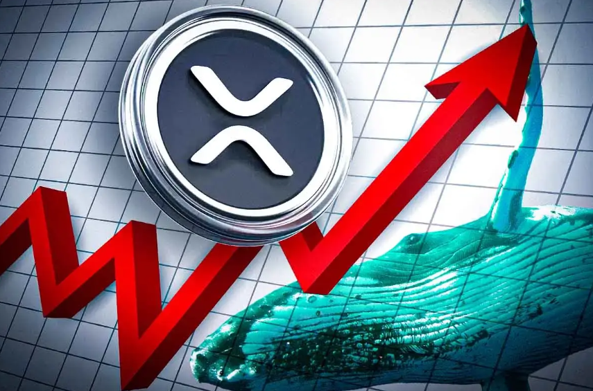XRP Price: Will It Keep Rising or Fall Short of Expectations?