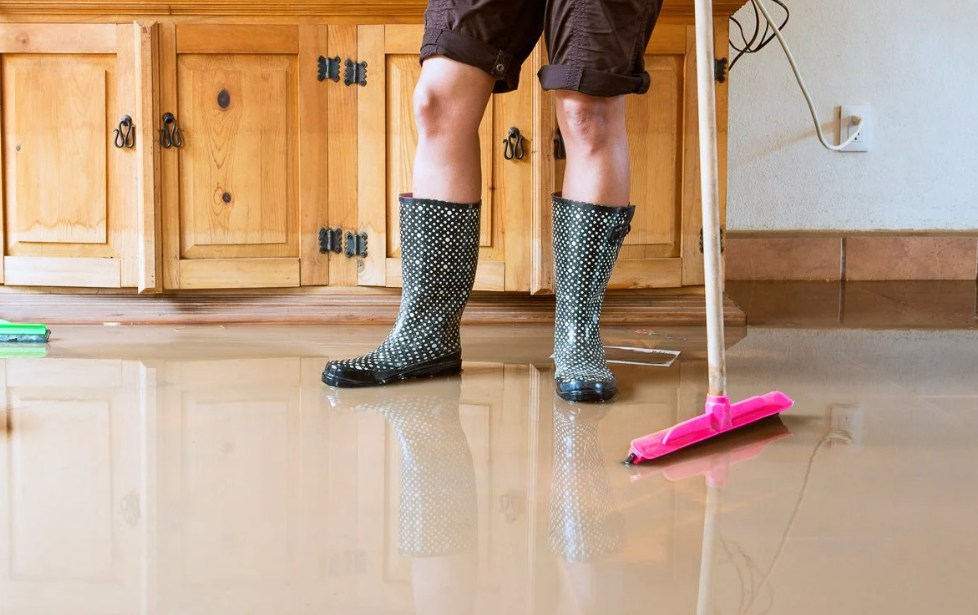 New Homeowner Guide: Simple Steps to Prevent Water Damage
