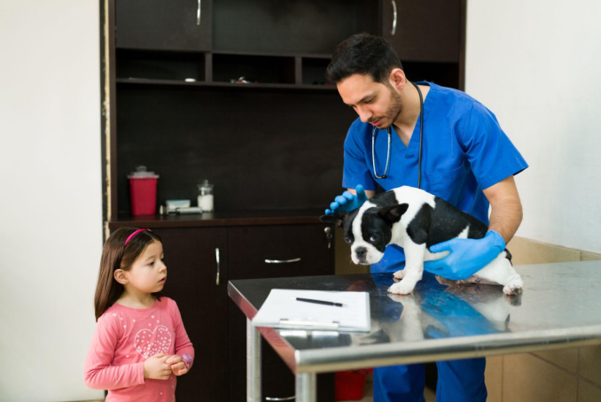 10 Reasons Why Your Pet Needs Comprehensive Health Checkups In Dubai