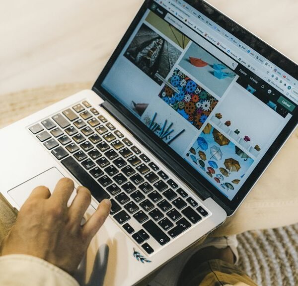 professional online web model