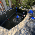 Pond Experts Guide to Professional Pond Design Care and Problem Solving 