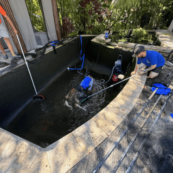 Pond Experts Guide to Professional Pond Design Care and Problem Solving 