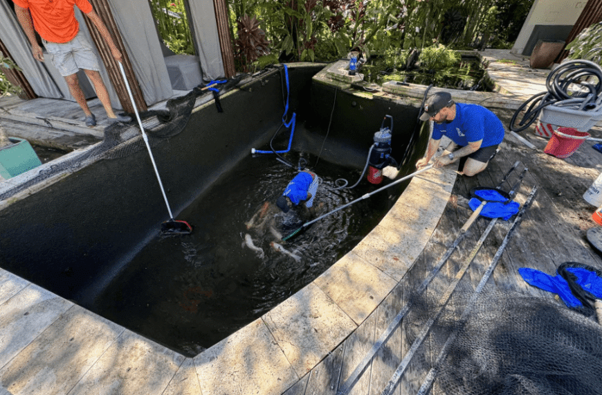 Pond Experts Guide to Professional Pond Design Care and Problem Solving 