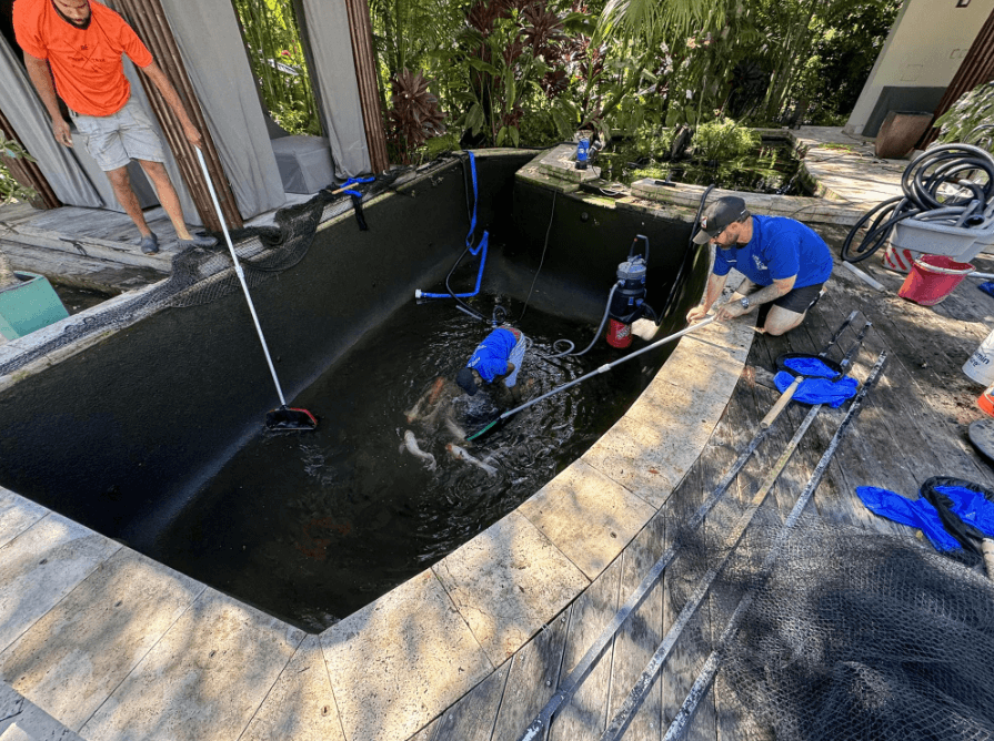 Pond Experts Guide to Professional Pond Design Care and Problem Solving 